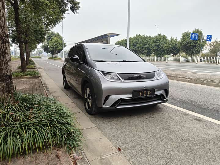 Фото 3 - BYD Dolphin