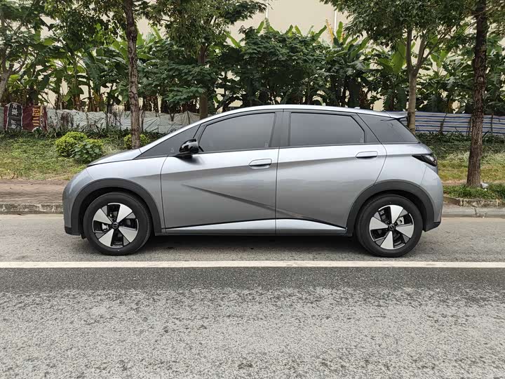 Фото 4 - BYD Dolphin