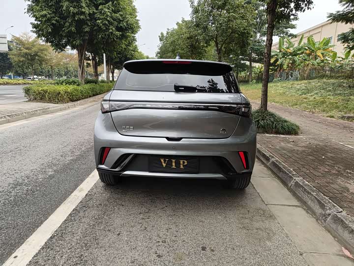 Фото 6 - BYD Dolphin