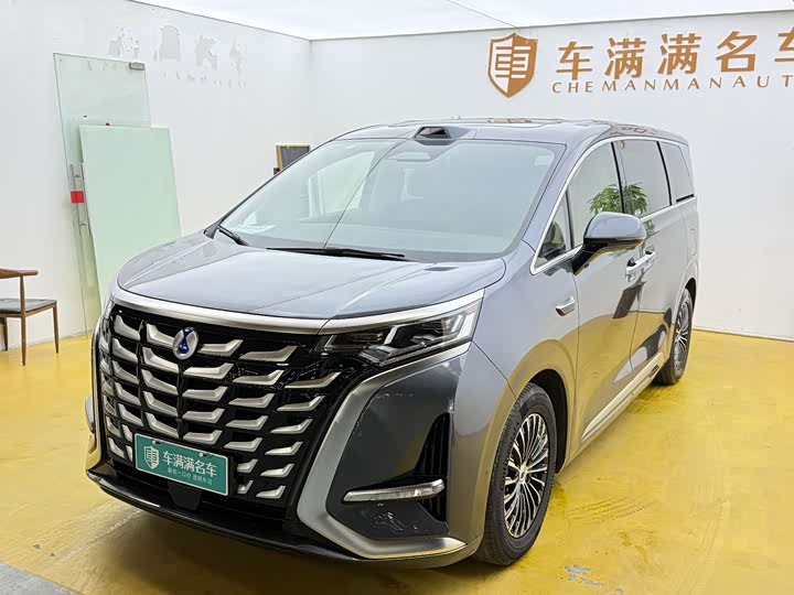 Фото 1 - Denza D9