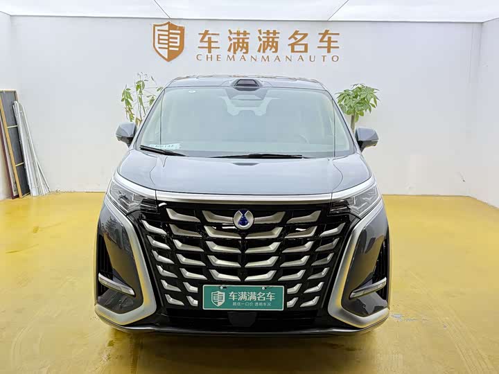 Фото 2 - Denza D9