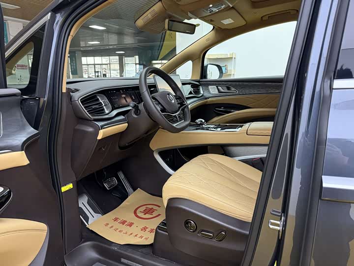 Фото 4 - Denza D9