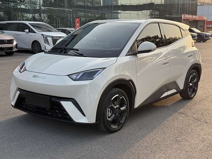 Фото 1 - BYD Seagull