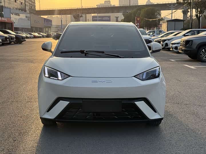 Фото 2 - BYD Seagull