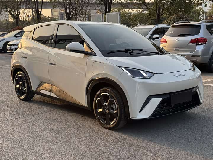 Фото 3 - BYD Seagull