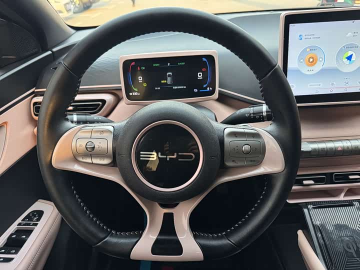 Фото 8 - BYD Seagull