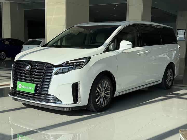 Фото 2 - Buick GL8 ES