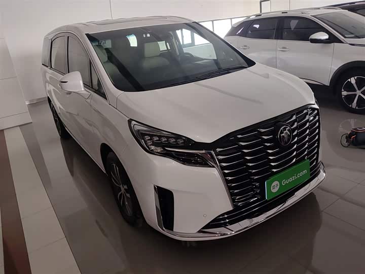 Фото 4 - Buick GL8 ES