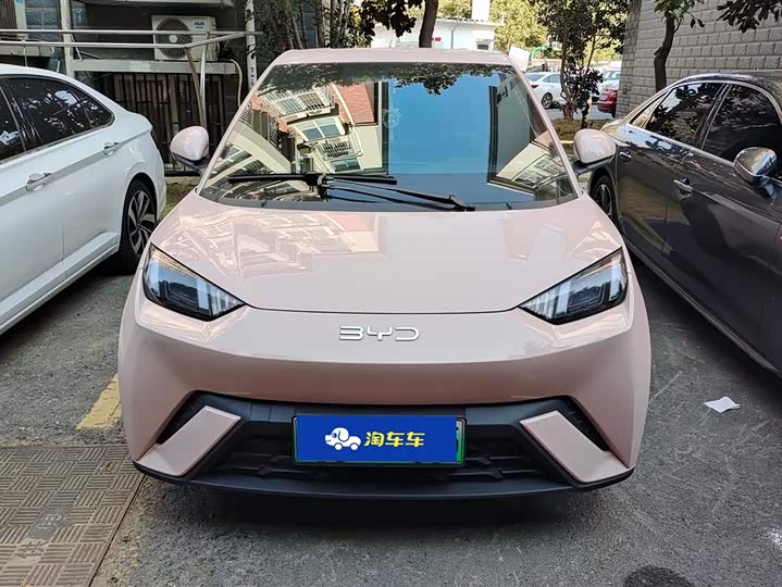 Фото 2 - BYD Seagull