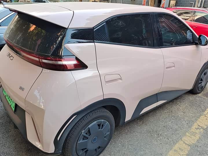 Фото 3 - BYD Seagull