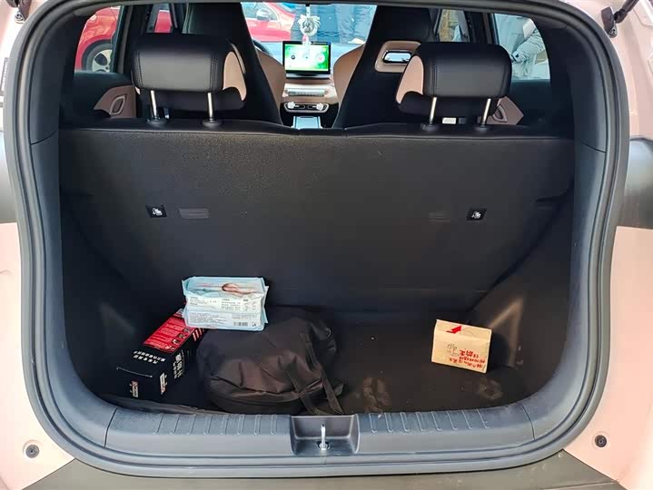 Фото 4 - BYD Seagull