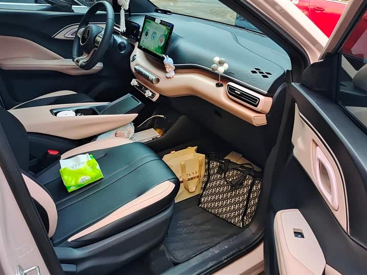 Фото 8 - BYD Seagull