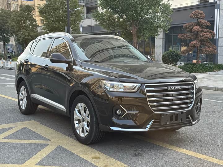 Фото 3 - Haval H6