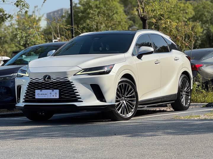 Фото 1 - Lexus RX