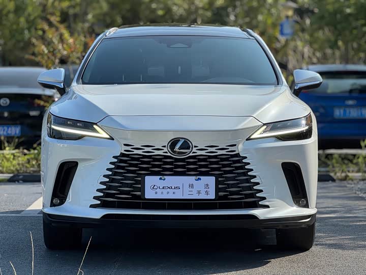 Фото 2 - Lexus RX