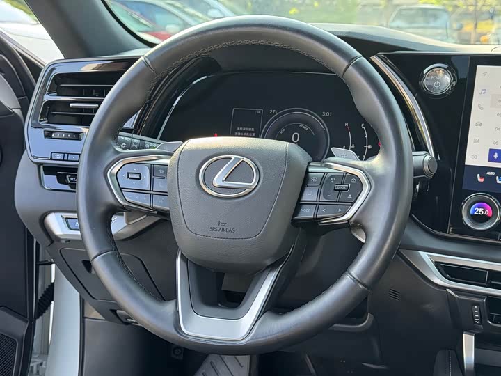 Фото 9 - Lexus RX