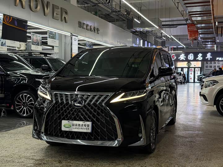 Фото 1 - Lexus LM