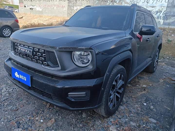 Фото 1 - Haval H-Dog