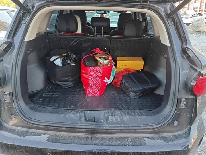 Фото 4 - Haval H-Dog