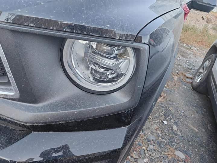 Фото 5 - Haval H-Dog