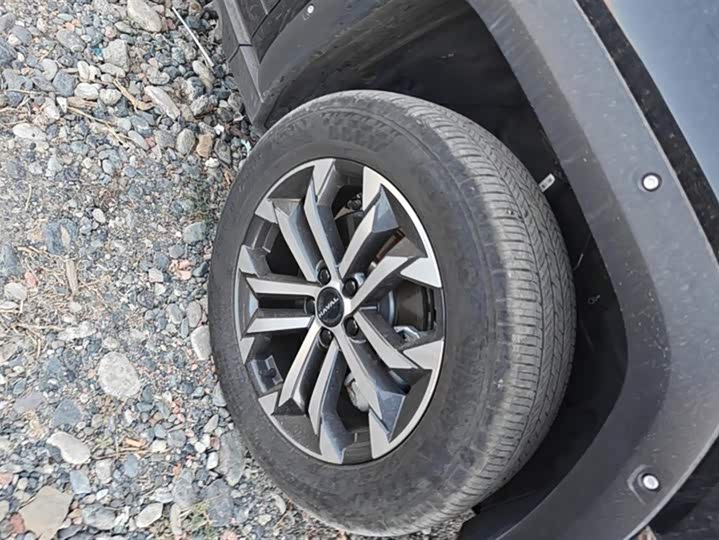 Фото 6 - Haval H-Dog