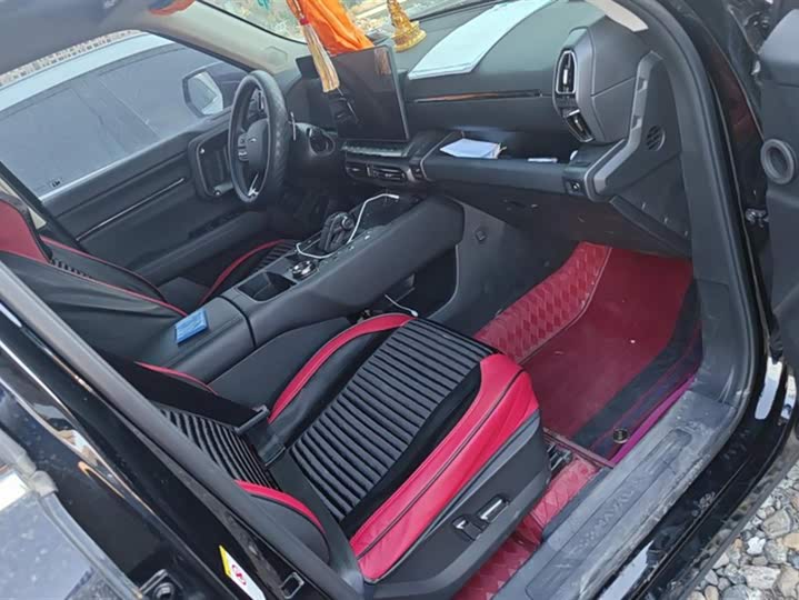 Фото 8 - Haval H-Dog