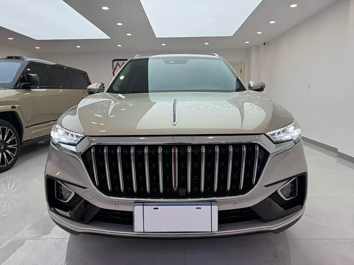 Фото 2 - Hongqi HS5