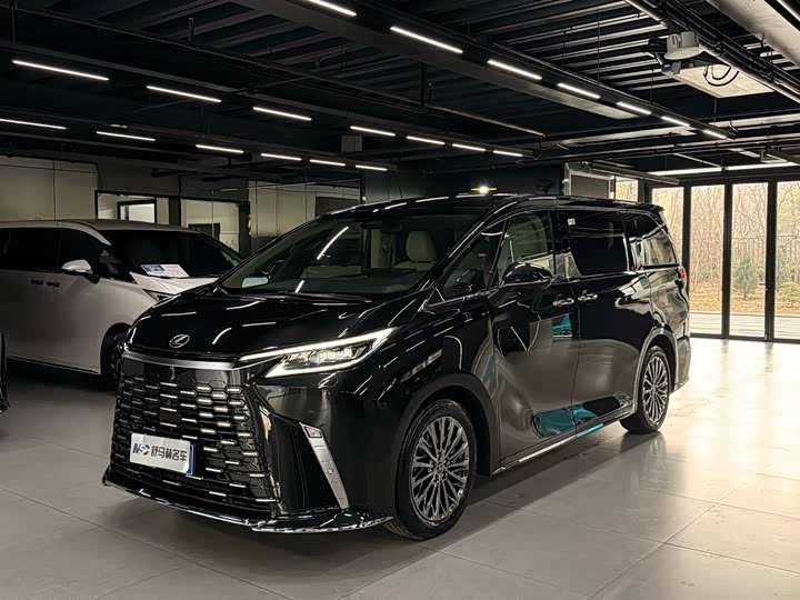 Фото 1 - Lexus LM