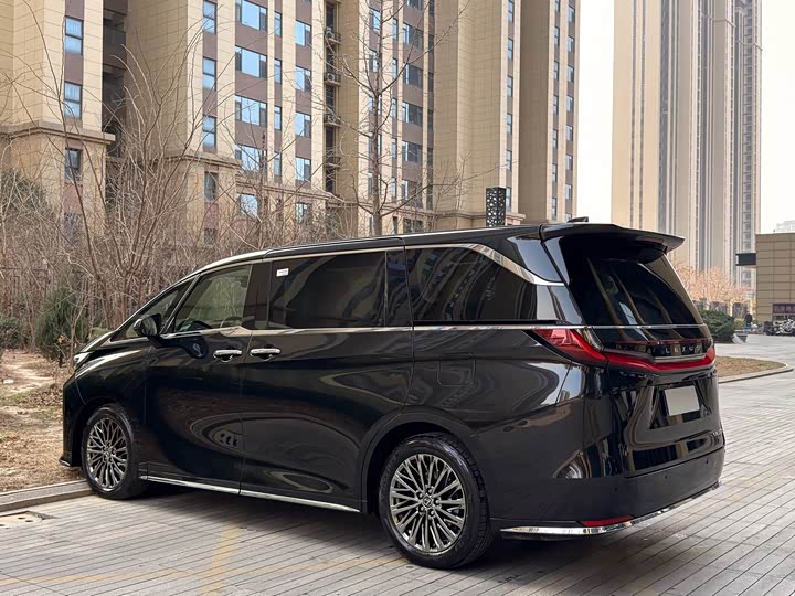 Фото 7 - Lexus LM