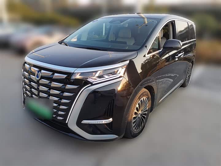 Фото 1 - Denza D9