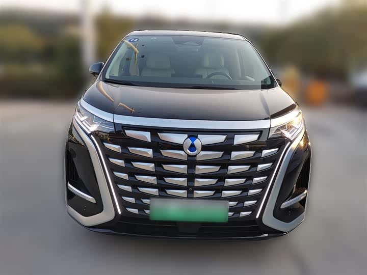 Фото 5 - Denza D9