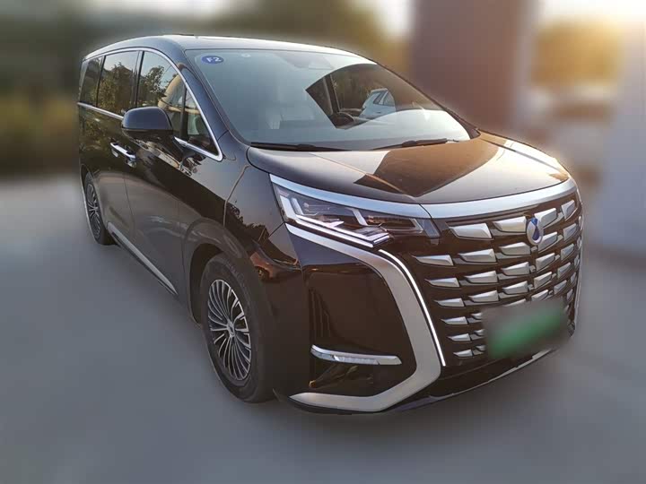 Фото 7 - Denza D9