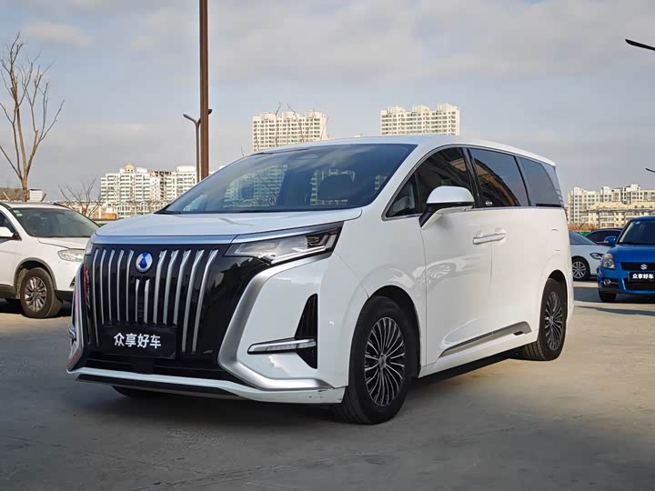 Фото 1 - Denza D9