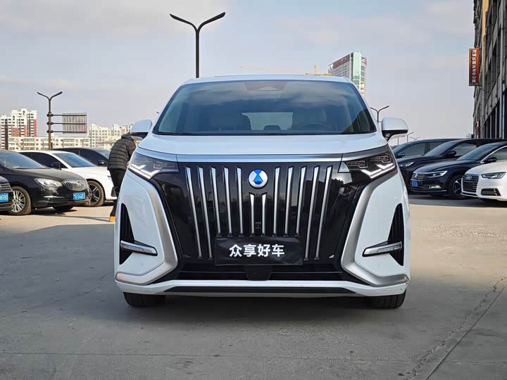 Фото 2 - Denza D9