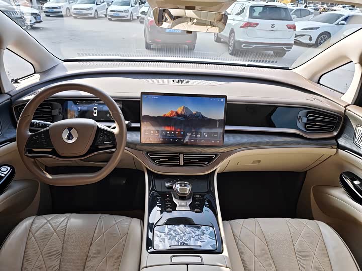 Фото 6 - Denza D9