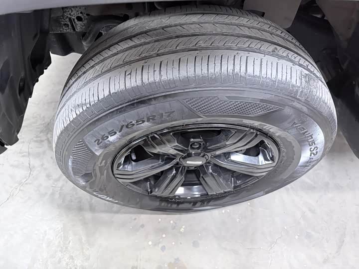 Фото 7 - Tank 300