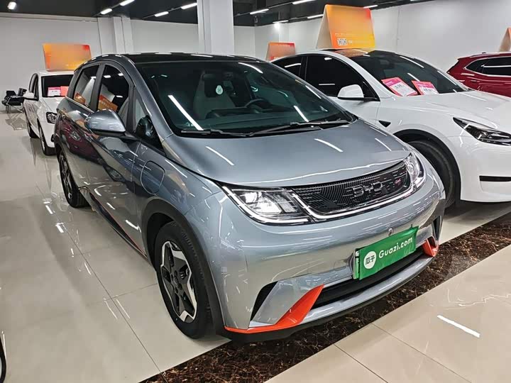 Фото 4 - BYD Dolphin