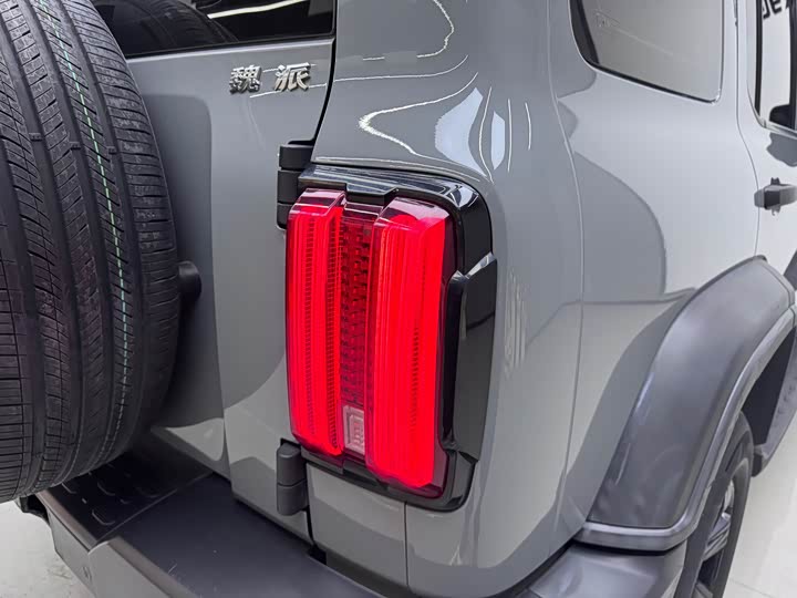 Фото 5 - Tank 300