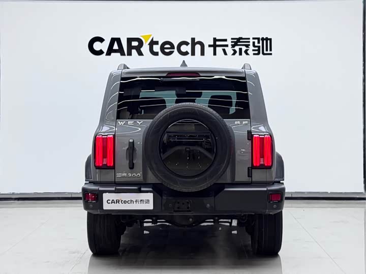 Фото 6 - Tank 300