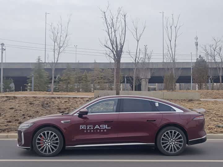 Фото 3 - Chery Fulwin A9L