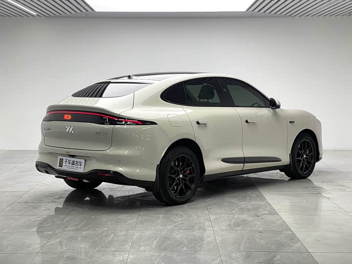 Фото 6 - IM motors LS6