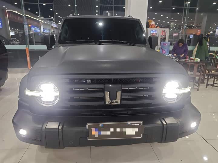 Фото 3 - Tank 300