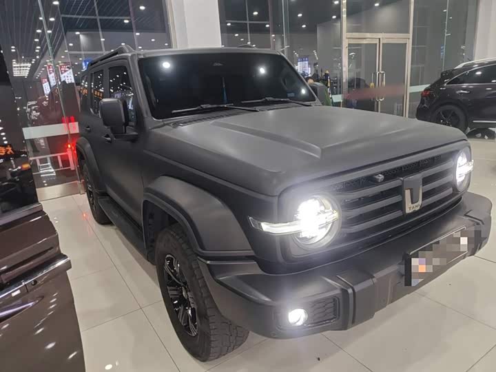 Фото 4 - Tank 300