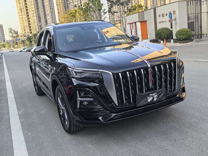 Фото 3 - Hongqi HS5