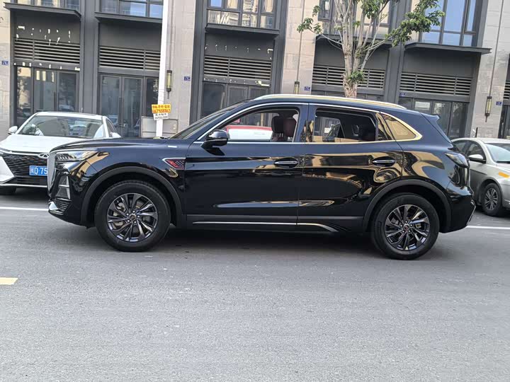 Фото 4 - Hongqi HS5