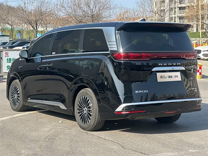 Фото 5 - Denza D9