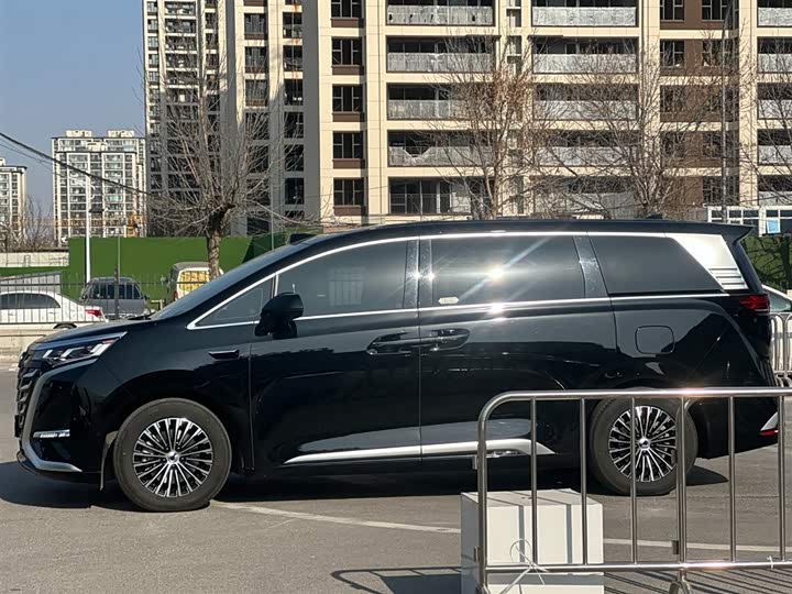 Фото 6 - Denza D9