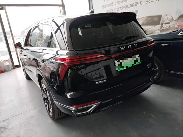 Фото 5 - Wey Lanshan