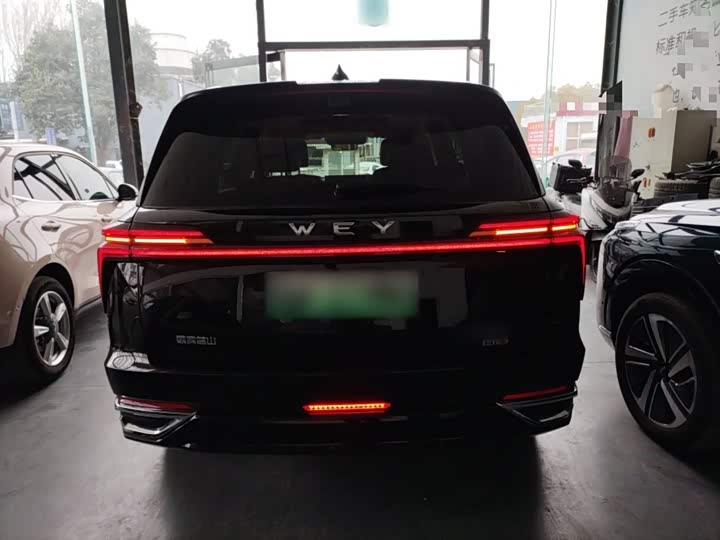 Фото 6 - Wey Lanshan