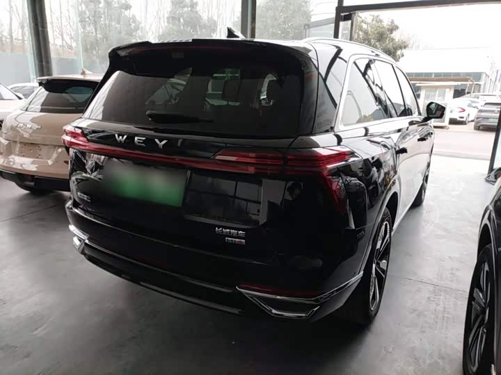 Фото 7 - Wey Lanshan